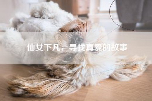 仙女下凡，寻找真爱的故事