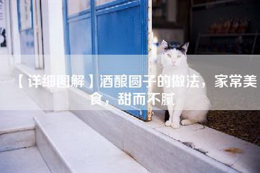 【详细图解】酒酿圆子的做法，家常美食，甜而不腻