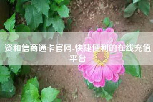 资和信商通卡官网-快捷便利的在线充值平台