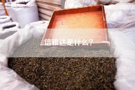 信雅达是什么？