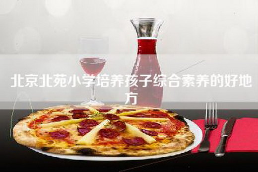 北京北苑小学培养孩子综合素养的好地方