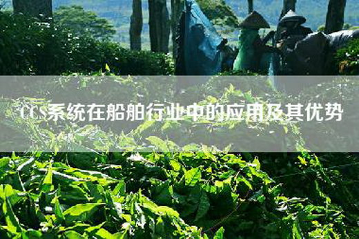 CCS系统在船舶行业中的应用及其优势