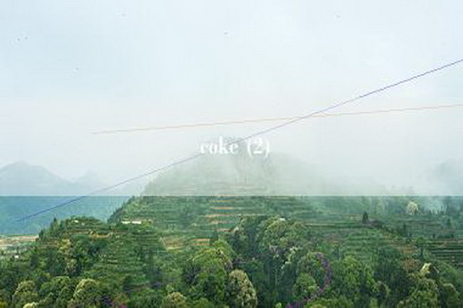 coke (2)