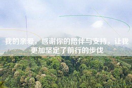 我的亲爱，感谢你的陪伴与支持，让我更加坚定了前行的步伐