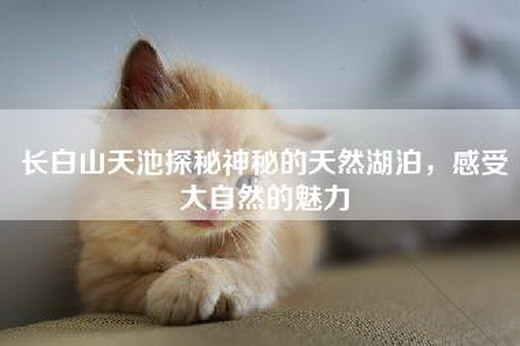 长白山天池探秘神秘的天然湖泊，感受大自然的魅力