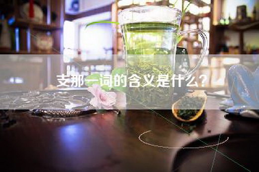 支那一词的含义是什么？