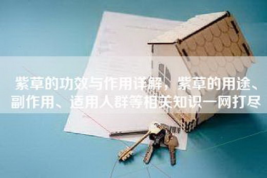 紫草的功效与作用详解，紫草的用途、副作用、适用人群等相关知识一网打尽