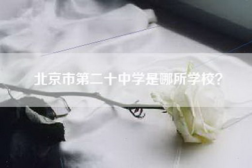 北京市第二十中学是哪所学校？