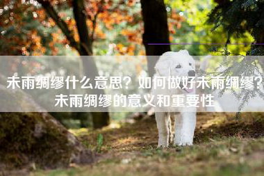 未雨绸缪什么意思？如何做好未雨绸缪？未雨绸缪的意义和重要性