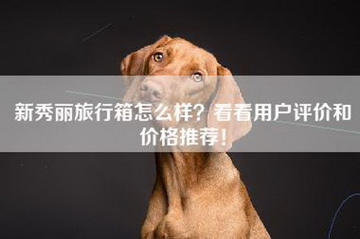 新秀丽旅行箱怎么样？看看用户评价和价格推荐！