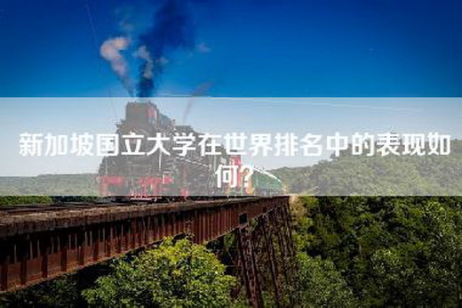新加坡国立大学在世界排名中的表现如何？