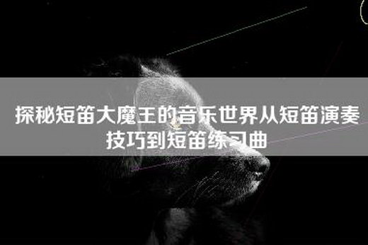 探秘短笛大魔王的音乐世界从短笛演奏技巧到短笛练习曲