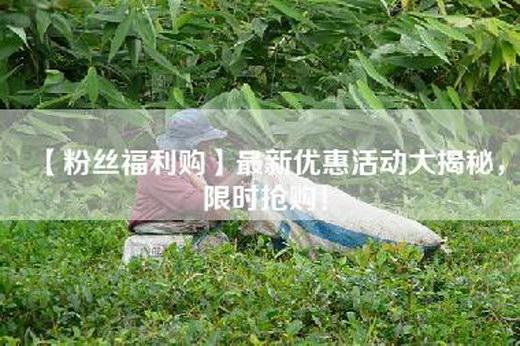 【粉丝福利购】最新优惠活动大揭秘，限时抢购！