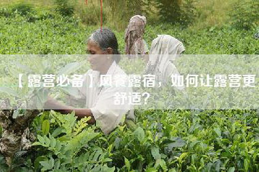 【露营必备】风餐露宿，如何让露营更舒适？