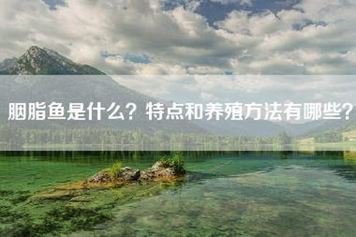 胭脂鱼是什么？特点和养殖方法有哪些？