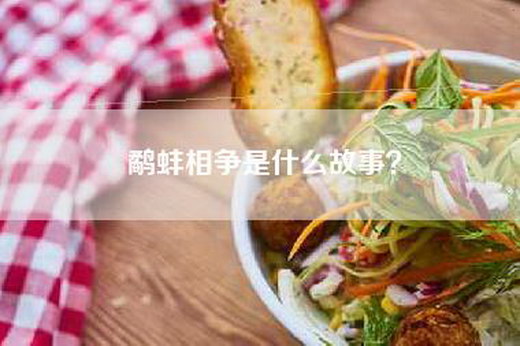 鹬蚌相争是什么故事？