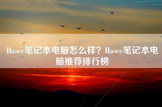 Hasee笔记本电脑怎么样？Hasee笔记本电脑推荐排行榜