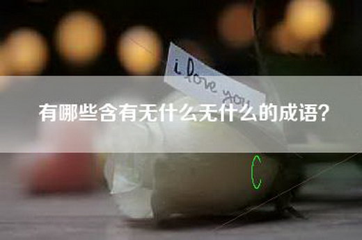 有哪些含有无什么无什么的成语？