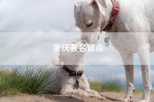 重庆著名景点