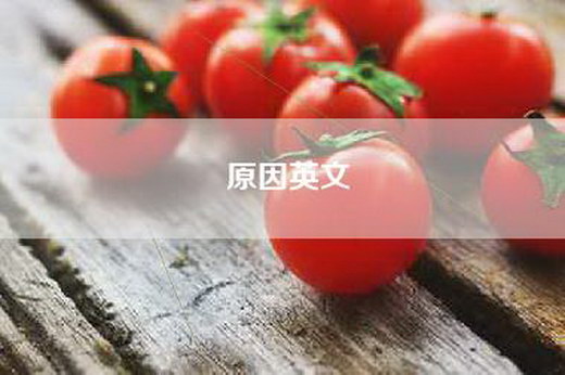 原因英文