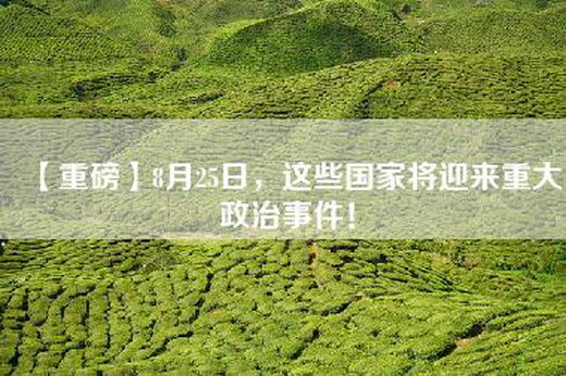 【重磅】8月25日，这些国家将迎来重大政治事件！
