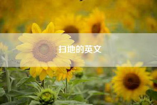 扫地的英文