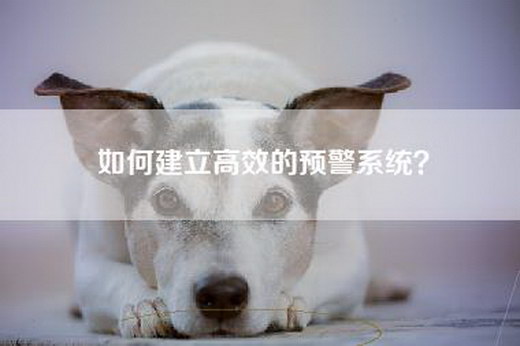 如何建立高效的预警系统？