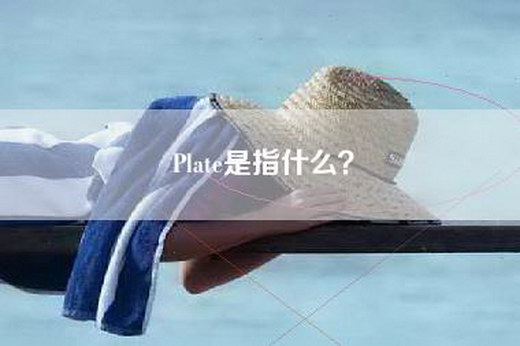 Plate是指什么？