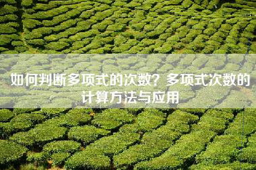 如何判断多项式的次数？多项式次数的计算方法与应用