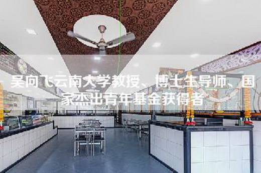 吴向飞云南大学教授、博士生导师、国家杰出青年基金获得者