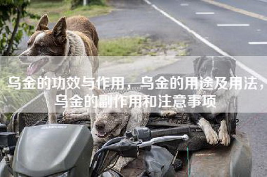 乌金的功效与作用，乌金的用途及用法，乌金的副作用和注意事项