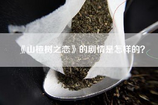 《山楂树之恋》的剧情是怎样的？