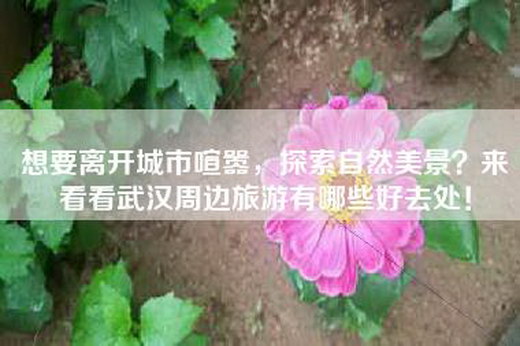 想要离开城市喧嚣，探索自然美景？来看看武汉周边旅游有哪些好去处！