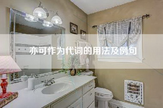 亦可作为代词的用法及例句