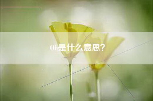 Oh是什么意思？
