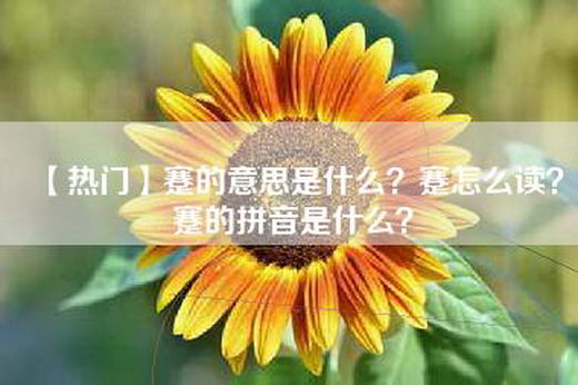 【热门】蹇的意思是什么？蹇怎么读？蹇的拼音是什么？
