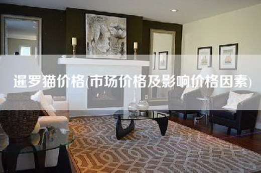 暹罗猫价格(市场价格及影响价格因素)