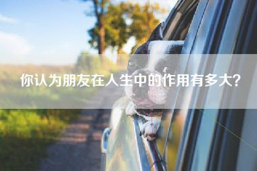 你认为朋友在人生中的作用有多大？