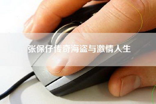 张保仔传奇海盗与激情人生