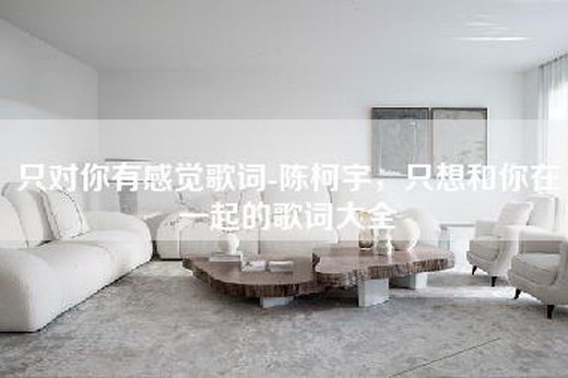只对你有感觉歌词-陈柯宇，只想和你在一起的歌词大全