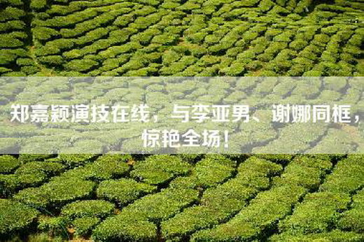 郑嘉颖演技在线，与李亚男、谢娜同框，惊艳全场！