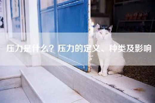 压力是什么？压力的定义、种类及影响