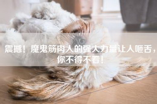 震撼！魔鬼筋肉人的强大力量让人咂舌，你不得不看！