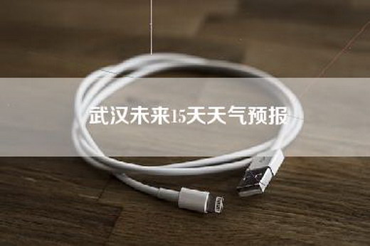 武汉未来15天天气预报