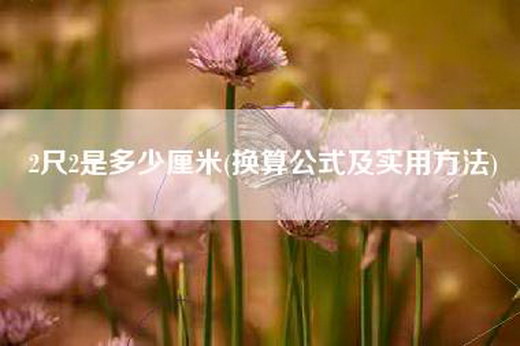 2尺2是多少厘米(换算公式及实用方法)