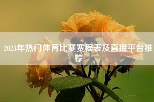 2023年热门体育比赛赛程表及直播平台推荐