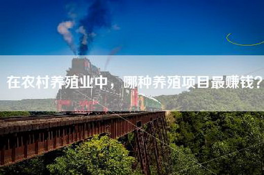 在农村养殖业中，哪种养殖项目最赚钱？