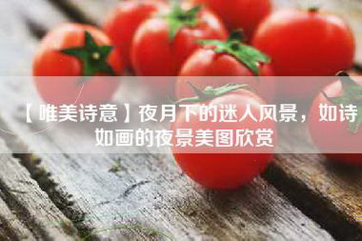 【唯美诗意】夜月下的迷人风景，如诗如画的夜景美图欣赏