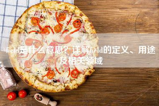 field是什么意思？详解field的定义、用途及相关领域