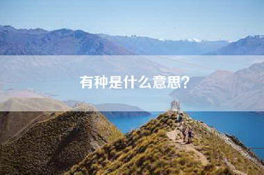 有种是什么意思？